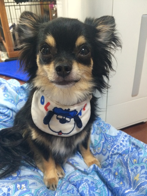 f:id:pnsk:20150722013317j:plain f:id:pnsk:20150722013317j:plain