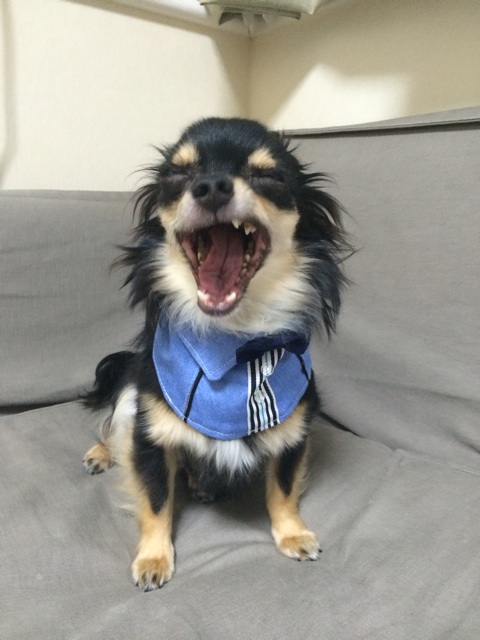 f:id:pnsk:20150725223142j:plain f:id:pnsk:20150725223142j:plain