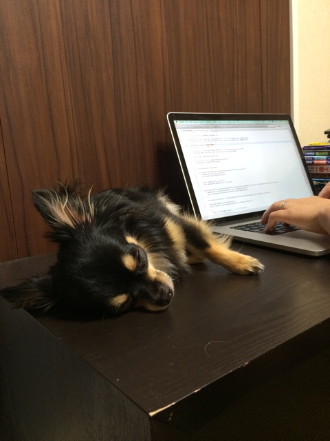 f:id:pnsk:20150727001142j:plain f:id:pnsk:20150727001142j:plain