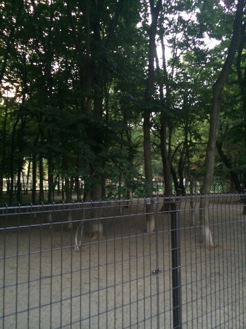 f:id:pnsk:20150802180125j:plain f:id:pnsk:20150802180125j:plain