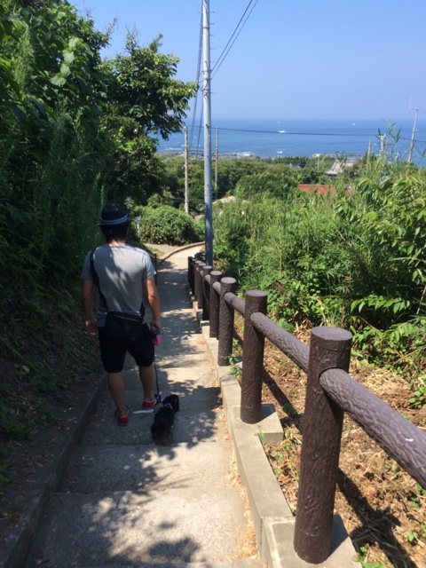 f:id:pnsk:20150805000512j:plain f:id:pnsk:20150805000512j:plain