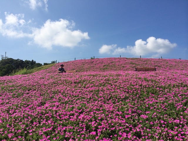 f:id:pnsk:20150805001044j:plain f:id:pnsk:20150805001044j:plain