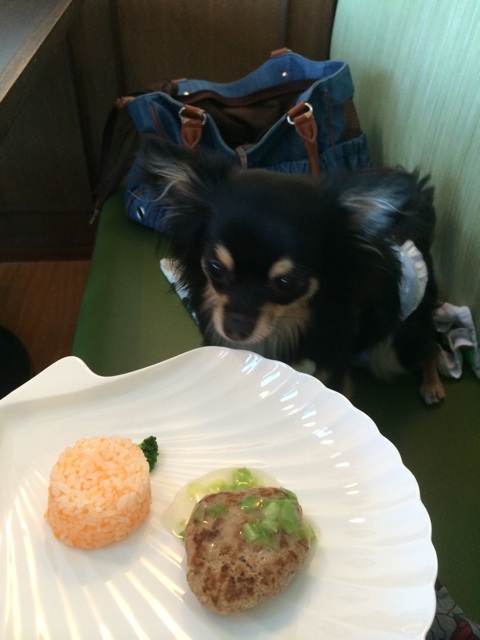 f:id:pnsk:20150805001429j:plain f:id:pnsk:20150805001429j:plain