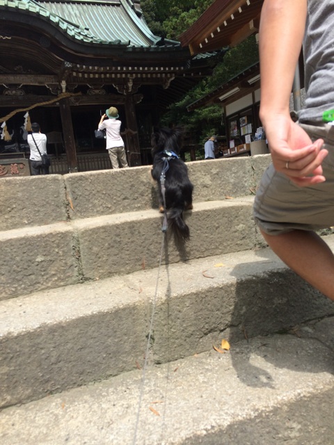 f:id:pnsk:20150906130546j:plain f:id:pnsk:20150906130546j:plain