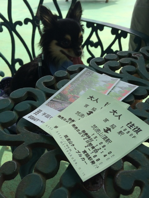 f:id:pnsk:20150906130623j:plain f:id:pnsk:20150906130623j:plain