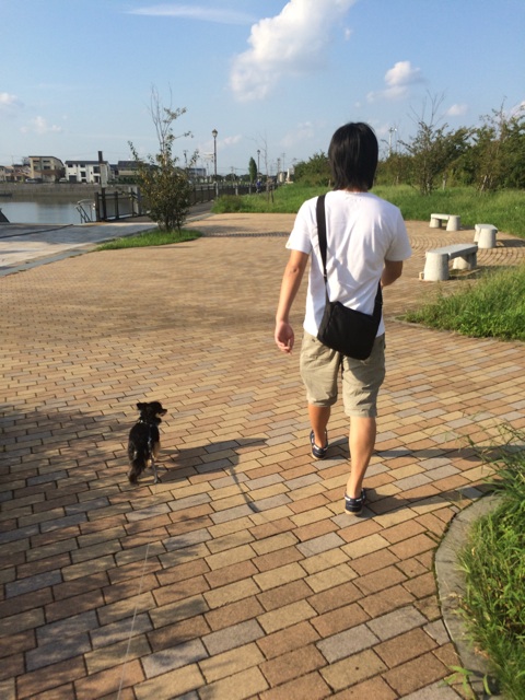 f:id:pnsk:20150922020457j:plain f:id:pnsk:20150922020457j:plain