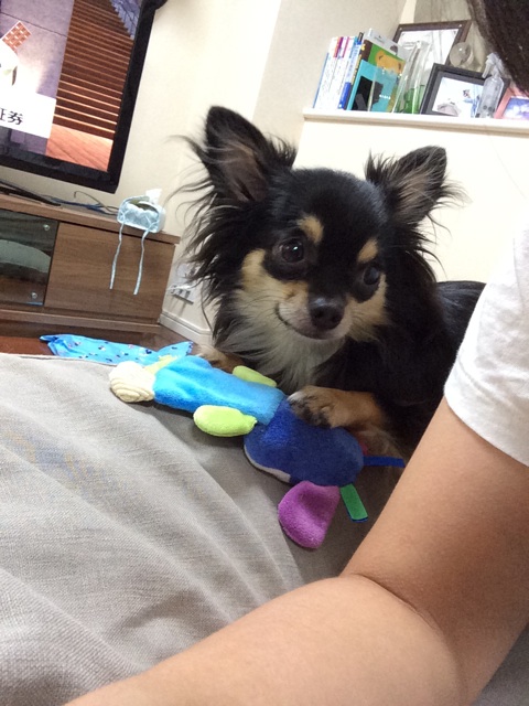 f:id:pnsk:20150928184240j:plain f:id:pnsk:20150928184240j:plain