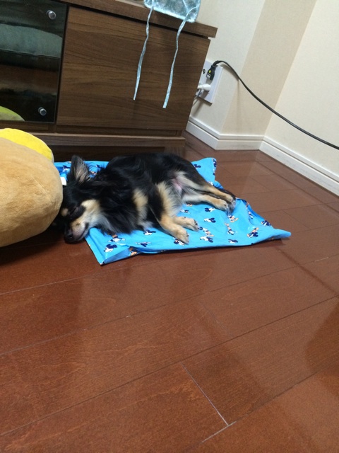 f:id:pnsk:20150928184501j:plain f:id:pnsk:20150928184501j:plain