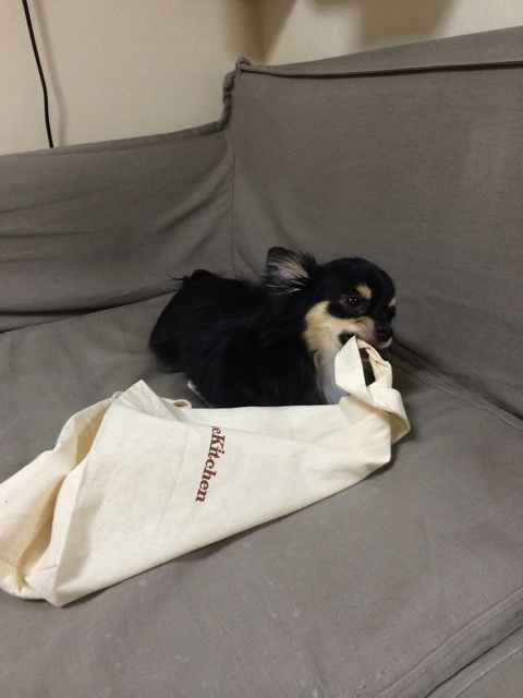 f:id:pnsk:20151009004351j:plain f:id:pnsk:20151009004351j:plain