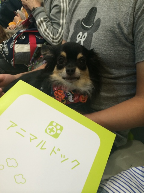f:id:pnsk:20151011000548j:plain f:id:pnsk:20151011000548j:plain