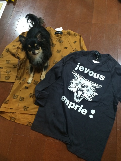 f:id:pnsk:20151011001017j:plain f:id:pnsk:20151011001017j:plain