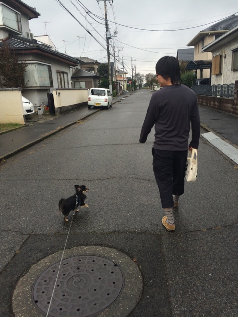 f:id:pnsk:20151012001608j:plain f:id:pnsk:20151012001608j:plain