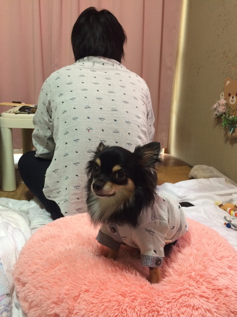 f:id:pnsk:20151012001651j:plain f:id:pnsk:20151012001651j:plain