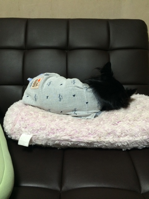 f:id:pnsk:20151012002623j:plain f:id:pnsk:20151012002623j:plain