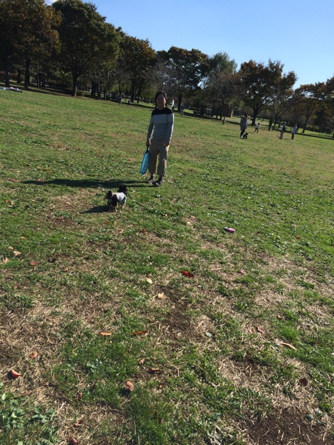 f:id:pnsk:20151104005454j:plain f:id:pnsk:20151104005454j:plain