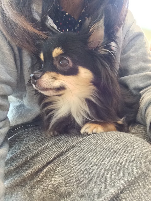 f:id:pnsk:20151118003742j:plain f:id:pnsk:20151118003742j:plain