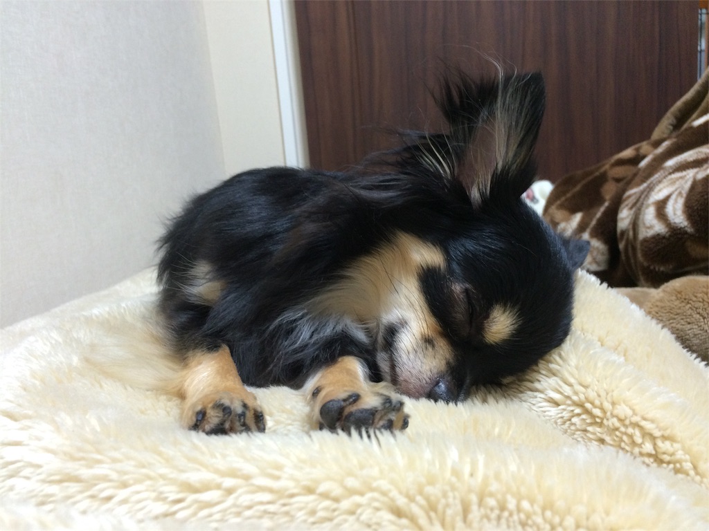 f:id:pnsk:20151207191652j:image f:id:pnsk:20151207191652j:image