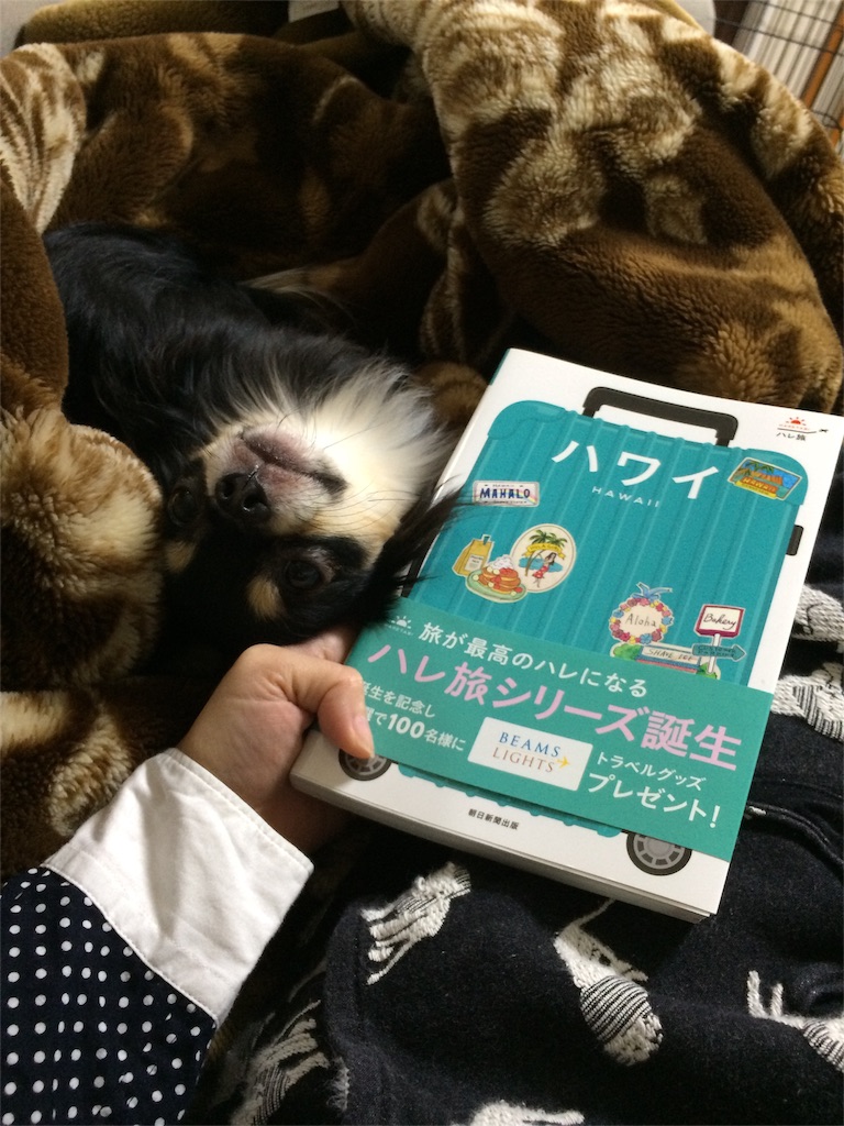 f:id:pnsk:20151227002423j:image f:id:pnsk:20151227002423j:image