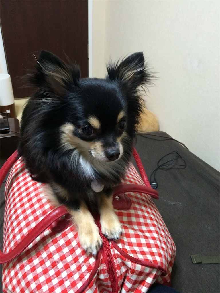 f:id:pnsk:20151230141653j:image f:id:pnsk:20151230141653j:image