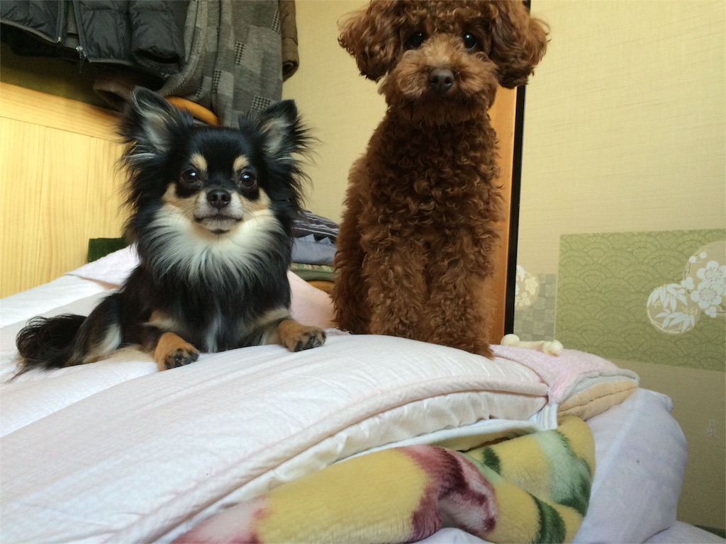 f:id:pnsk:20160101034719j:image f:id:pnsk:20160101034719j:image
