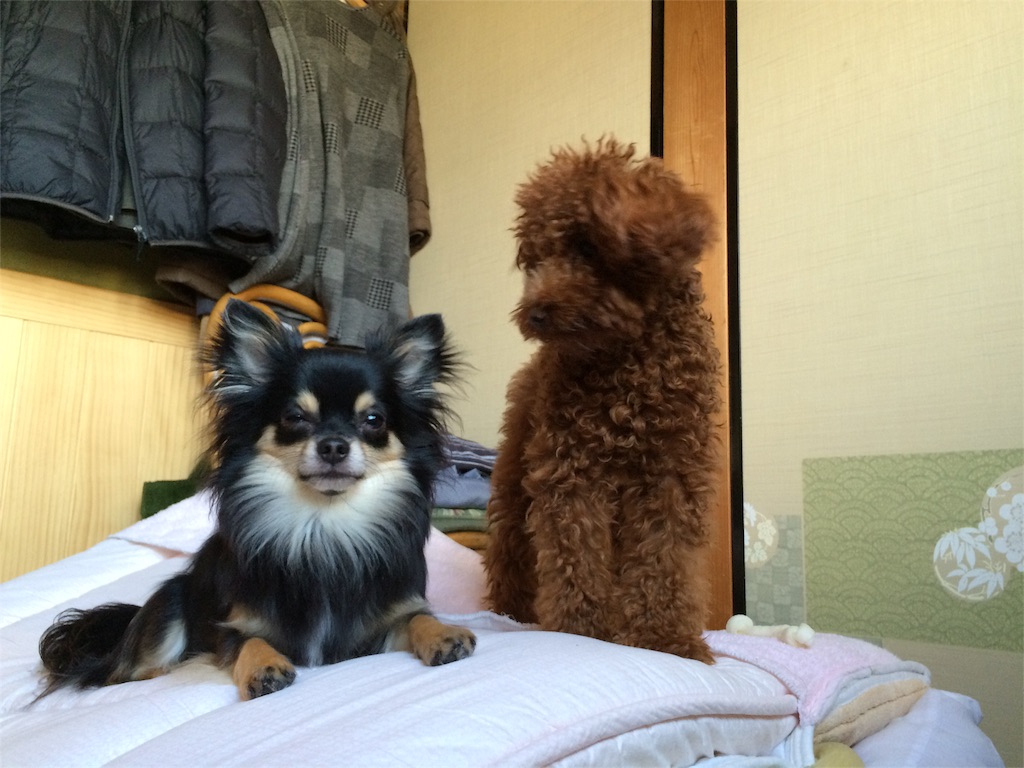 f:id:pnsk:20160101034735j:image f:id:pnsk:20160101034735j:image