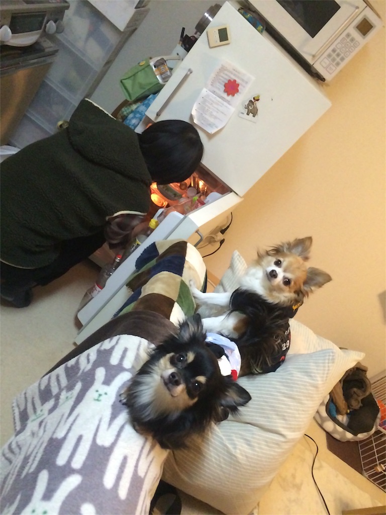 f:id:pnsk:20160124215822j:image f:id:pnsk:20160124215822j:image