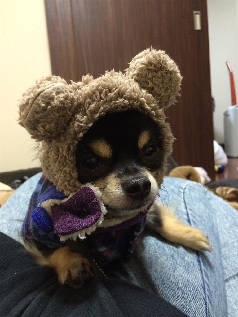 f:id:pnsk:20160128234647j:image f:id:pnsk:20160128234647j:image