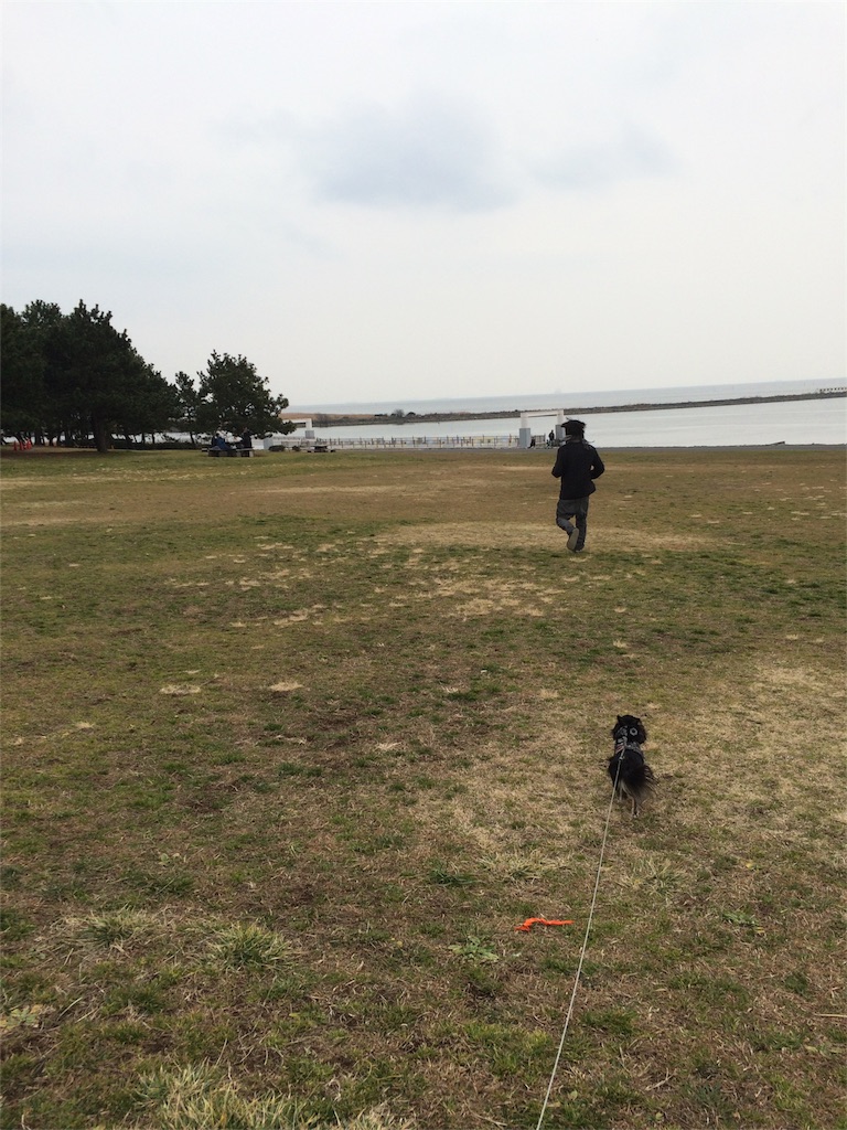 f:id:pnsk:20160220184452j:image f:id:pnsk:20160220184452j:image