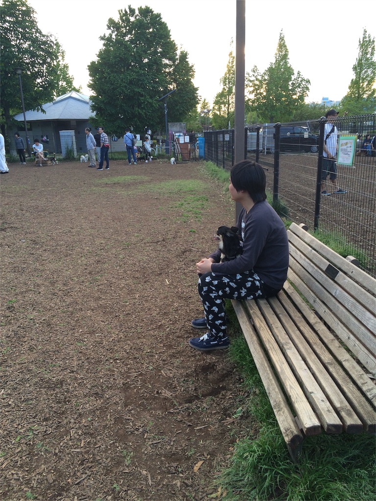 f:id:pnsk:20160507231658j:image f:id:pnsk:20160507231658j:image