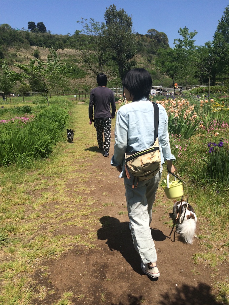 f:id:pnsk:20160507231826j:image f:id:pnsk:20160507231826j:image