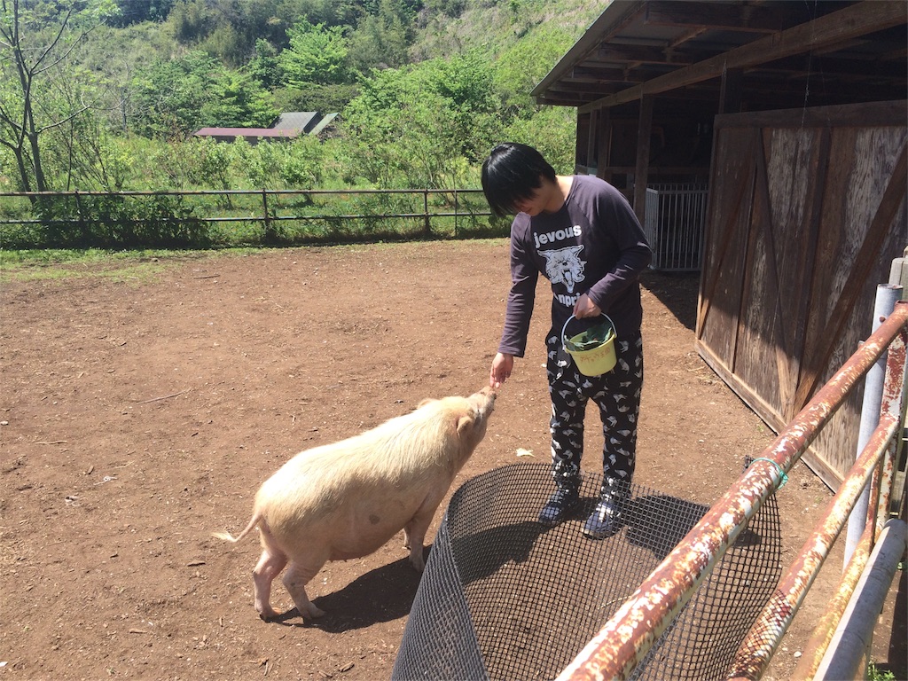 f:id:pnsk:20160507232011j:image f:id:pnsk:20160507232011j:image