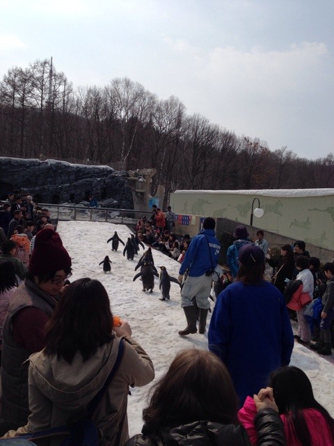f:id:pochi-mk:20140326213110j:plain f:id:pochi-mk:20140326213110j:plain