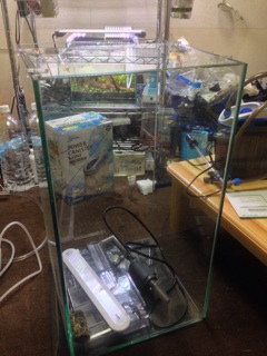f:id:pochi52:20140601215021j:plain f:id:pochi52:20140601215021j:plain