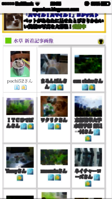 f:id:pochi52:20140613103739j:plain f:id:pochi52:20140613103739j:plain