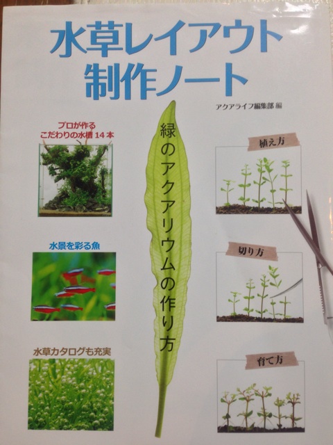 f:id:pochi52:20140618195325j:plain f:id:pochi52:20140618195325j:plain