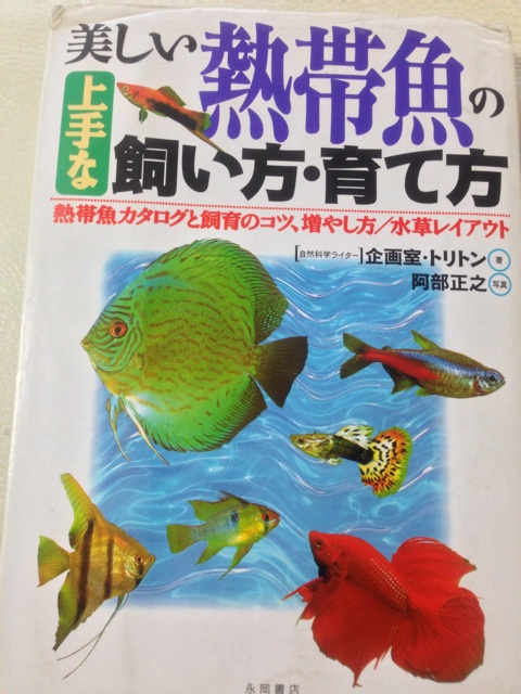 f:id:pochi52:20140619161208j:plain f:id:pochi52:20140619161208j:plain