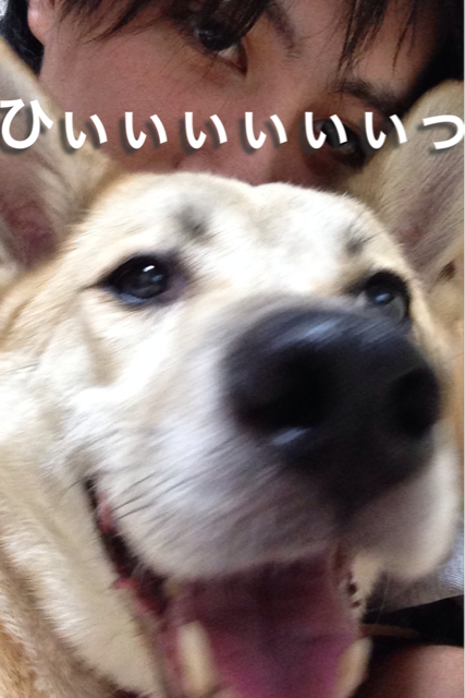 f:id:pochi52:20140625133653j:plain f:id:pochi52:20140625133653j:plain