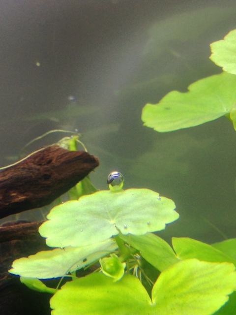 f:id:pochi52:20140626173031j:plain f:id:pochi52:20140626173031j:plain