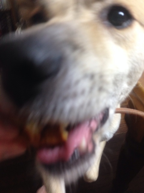 f:id:pochi52:20140704220548j:plain f:id:pochi52:20140704220548j:plain
