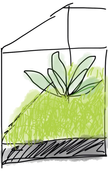 f:id:pochi52:20140705160404j:plain f:id:pochi52:20140705160404j:plain