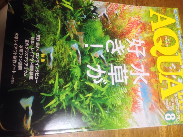 f:id:pochi52:20140711223713j:plain f:id:pochi52:20140711223713j:plain