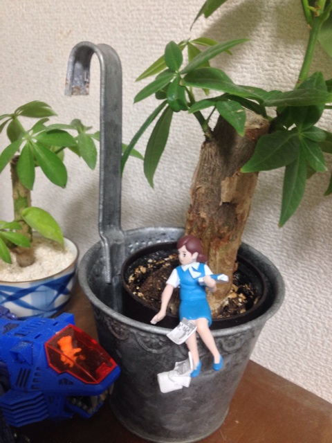 f:id:pochi52:20140721181903j:plain f:id:pochi52:20140721181903j:plain