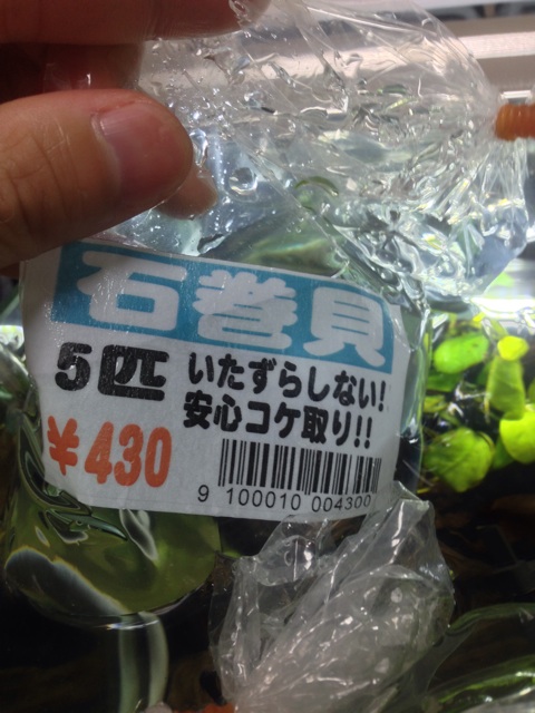 f:id:pochi52:20140726151714j:plain f:id:pochi52:20140726151714j:plain