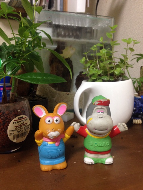 f:id:pochi52:20140727011005j:plain f:id:pochi52:20140727011005j:plain