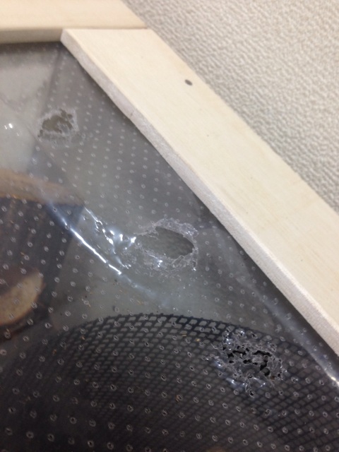 f:id:pochi52:20140728183542j:plain f:id:pochi52:20140728183542j:plain