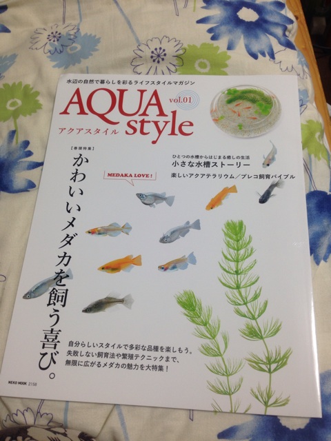 f:id:pochi52:20140803223600j:plain f:id:pochi52:20140803223600j:plain