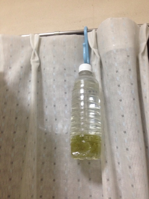 f:id:pochi52:20140806115112j:plain f:id:pochi52:20140806115112j:plain