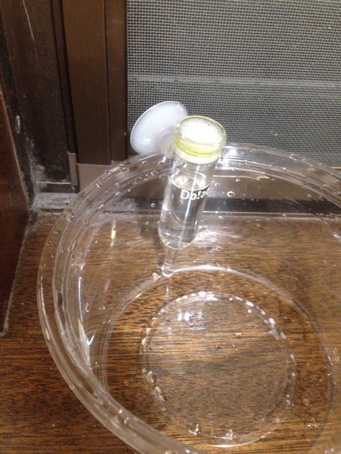 f:id:pochi52:20140811201408j:plain f:id:pochi52:20140811201408j:plain