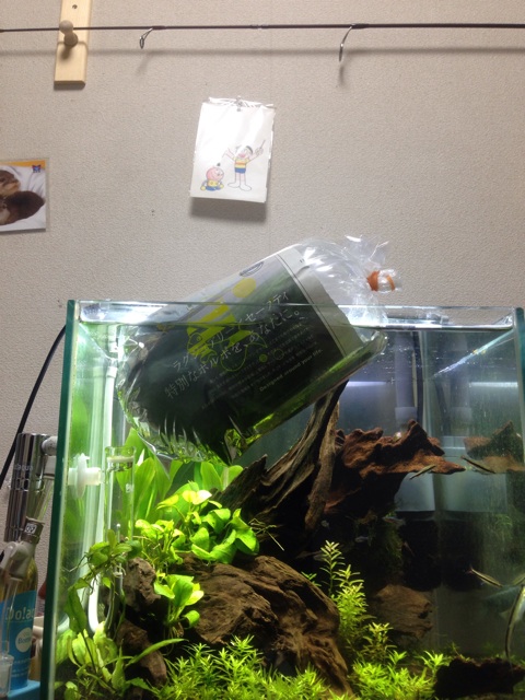f:id:pochi52:20140823193256j:plain f:id:pochi52:20140823193256j:plain