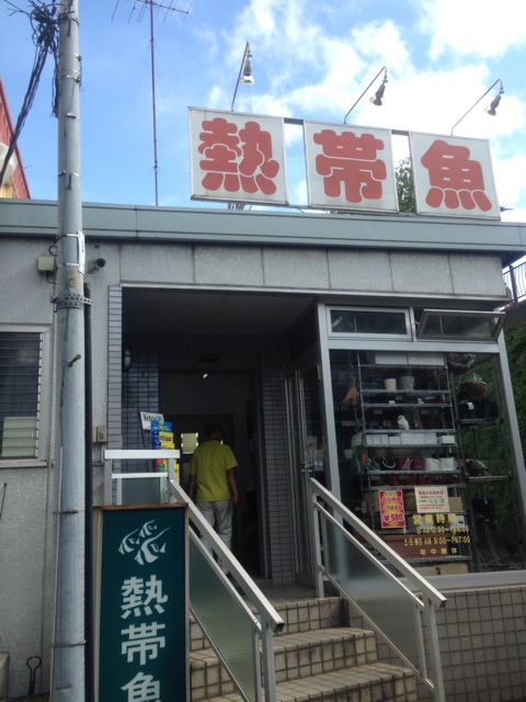 f:id:pochi52:20140831171815j:plain f:id:pochi52:20140831171815j:plain
